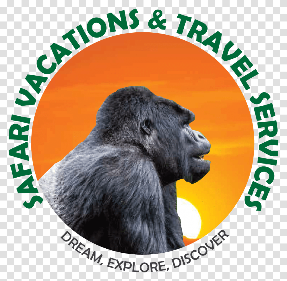 Safari Vacations Amp Travel Services Ingenieria Mecatronica, Ape, Wildlife, Mammal, Animal Transparent Png