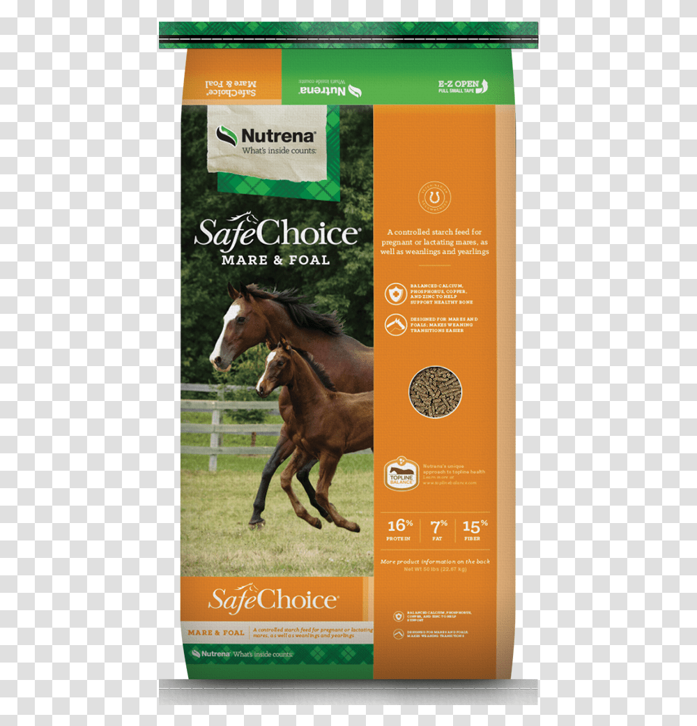 Safe Choice Horse Feed, Mammal, Animal, Poster, Advertisement Transparent Png