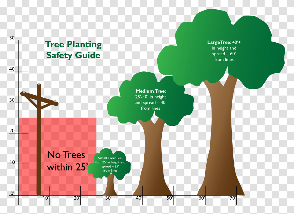 Safe Tree Planting, Plot, Diagram Transparent Png