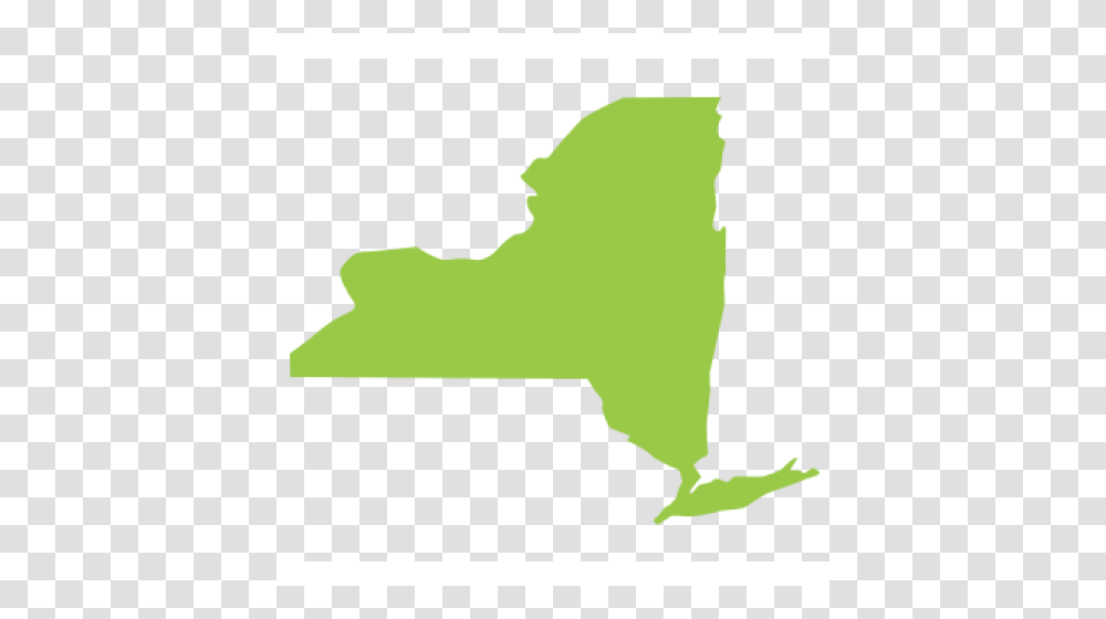 Safer States New York, Silhouette, Plot, Diagram Transparent Png