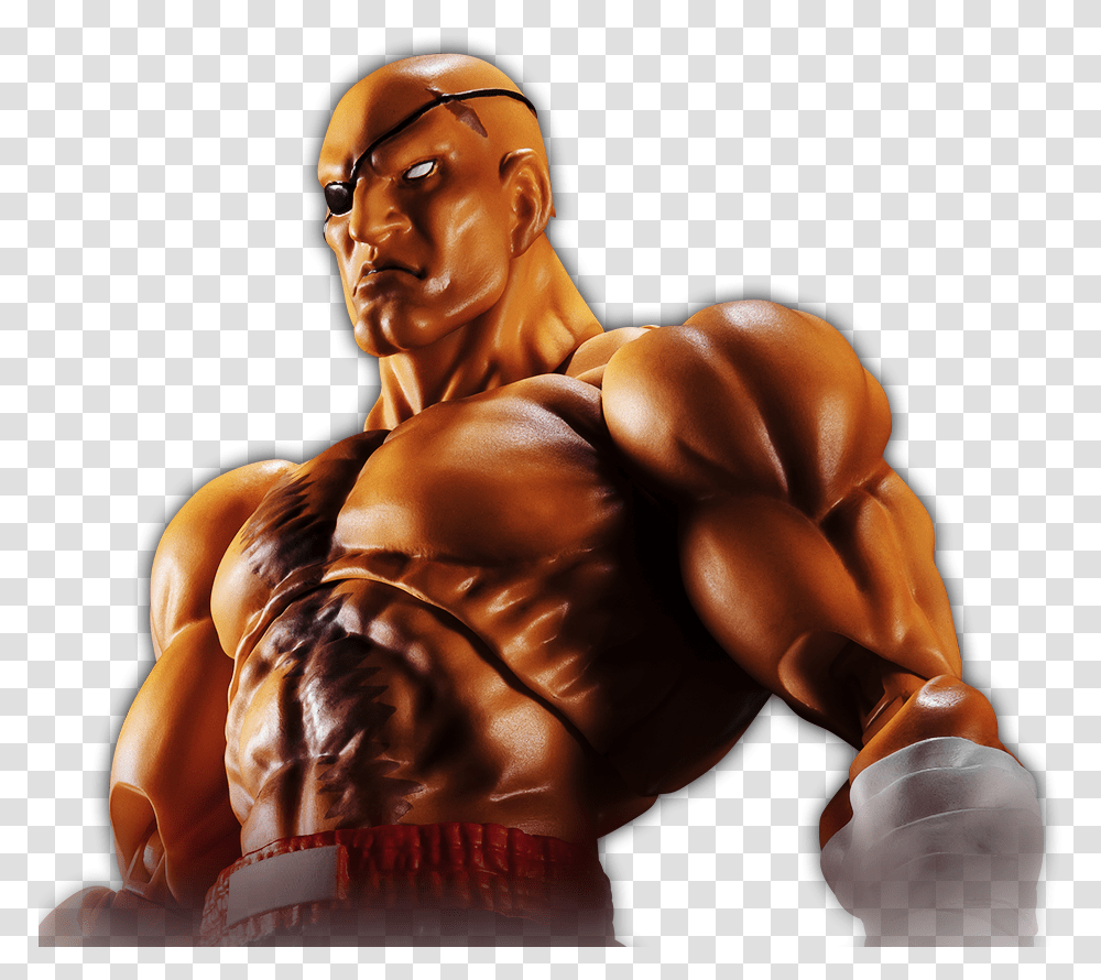 Sagat Sh Figuarts Street Fighter Sagat, Person, Human, Fitness, Working Out Transparent Png