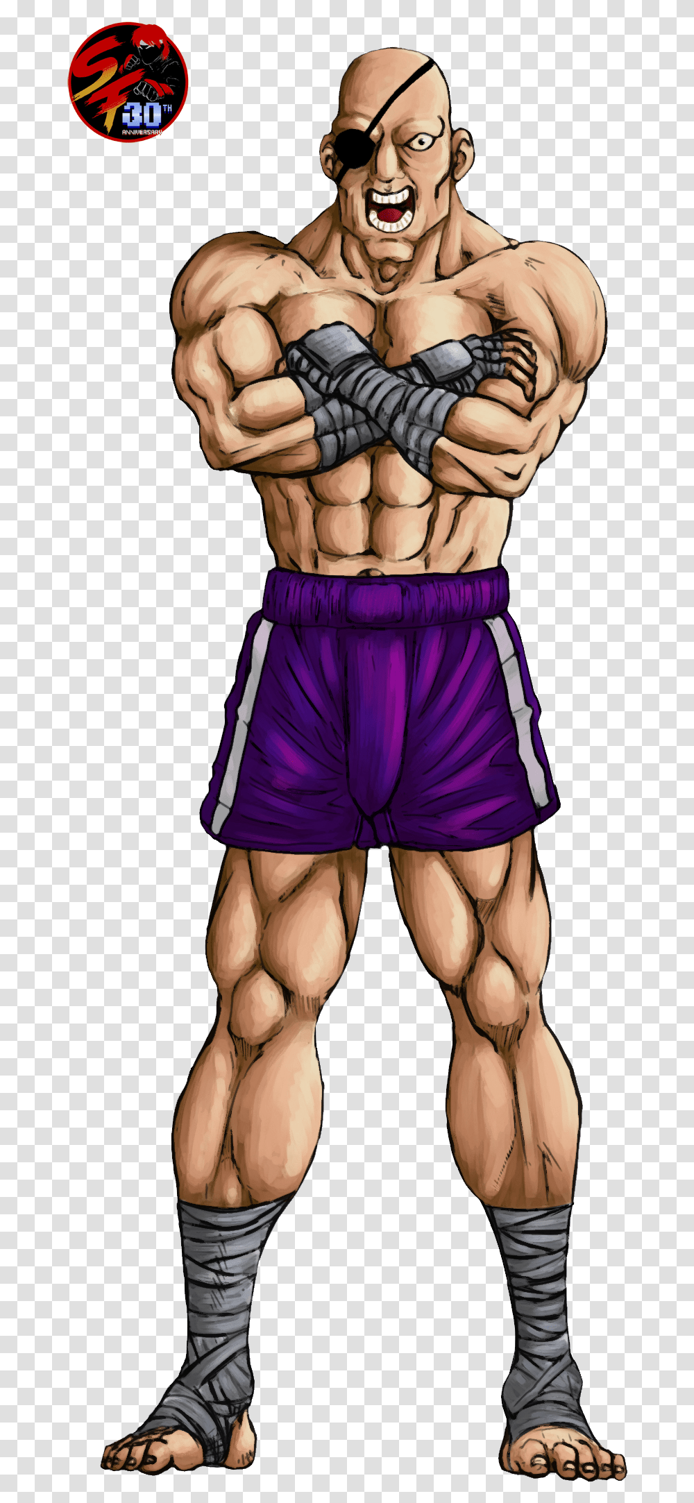 Sagat Street Fighter, Hand, Person, Arm, Shorts Transparent Png