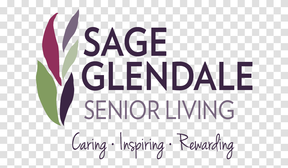 Sage Glendale Calligraphy, Poster, Advertisement, Alphabet Transparent Png