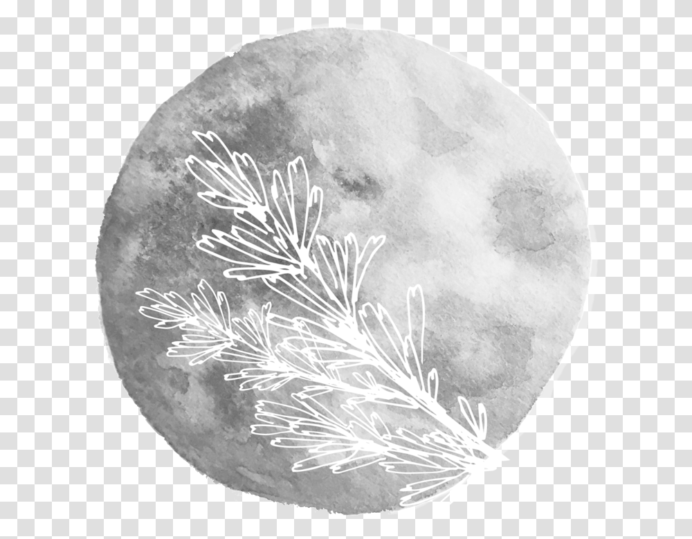 Sage Moon Christmas Tree, Nature, Outdoors, Outer Space, Night Transparent Png