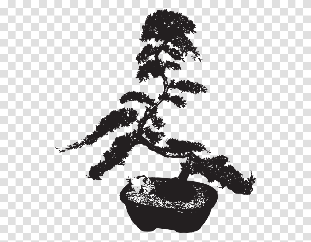 Sageretia Theezans, Tree, Plant, Lighting Transparent Png