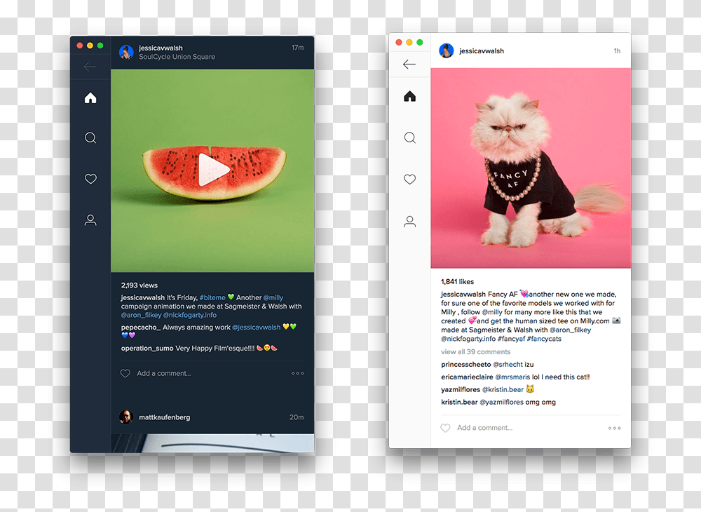 Sagmeister Milly Instagram, Plant, Fruit, Food, Cat Transparent Png