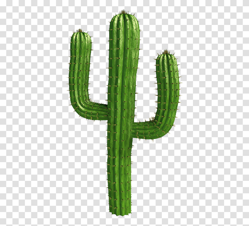 Saguaro Cactus Picture Cactus, Plant, Cross, Symbol Transparent Png