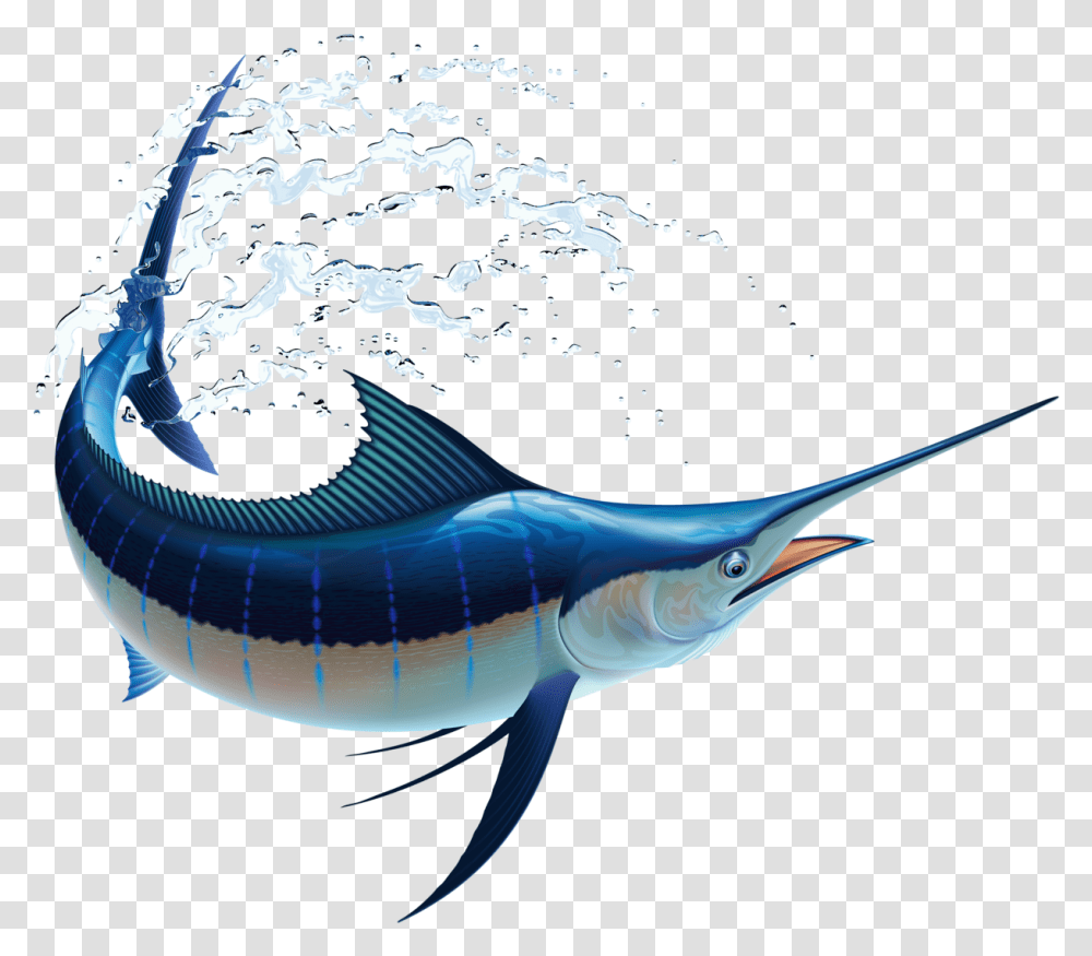 Sail Fish Marlin Fish, Swordfish, Sea Life, Animal Transparent Png