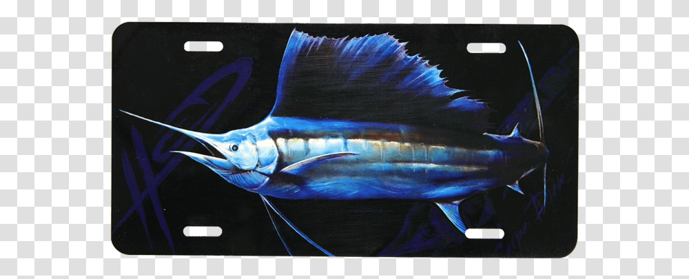 Sailfish License Plate Insured By Mafia You Hit, Animal, Sea Life, Swordfish, Tuna Transparent Png