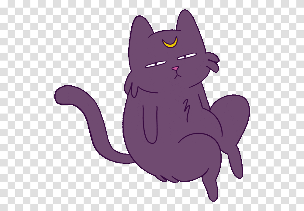 Sailor Moon Cat Gifs, Animal, Mammal, Pet, Black Cat Transparent Png