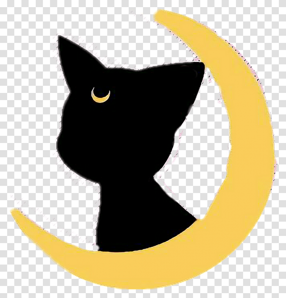 Sailormoon Cat Gato Cute Luna Moon Luna Sailor Moon, Pet, Mammal, Animal Transparent Png