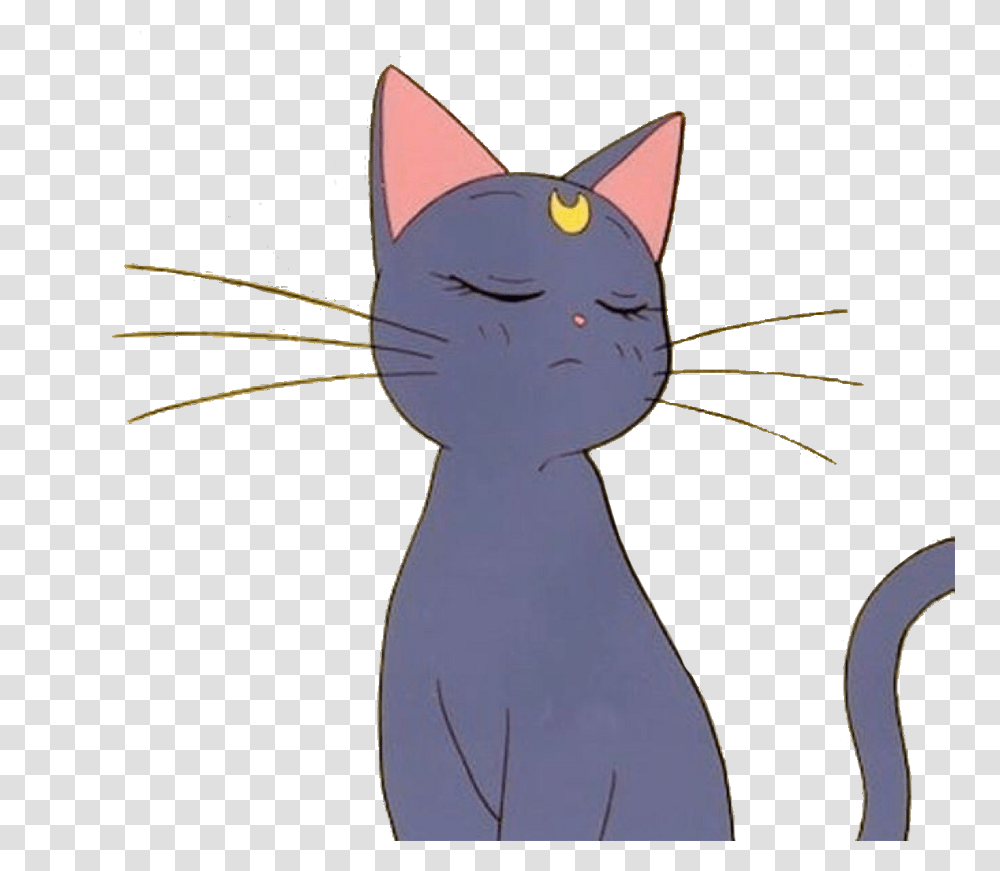 Sailormoon Cat Luna Cute Kawaii Anime Sailor Moon Cat, Mammal, Animal, Pet, Egyptian Cat Transparent Png