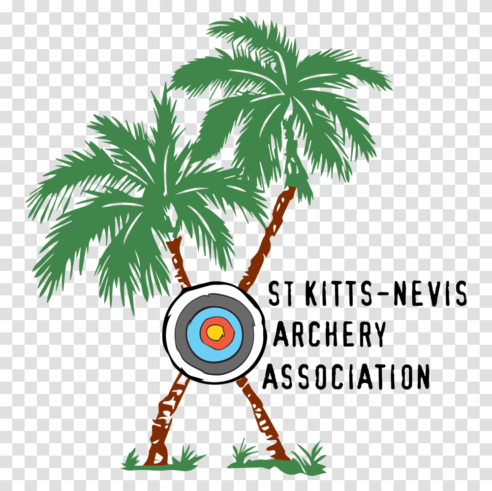 Saint Kitts Nevis Archery Association, Plant, Tree, Sport, Sports Transparent Png