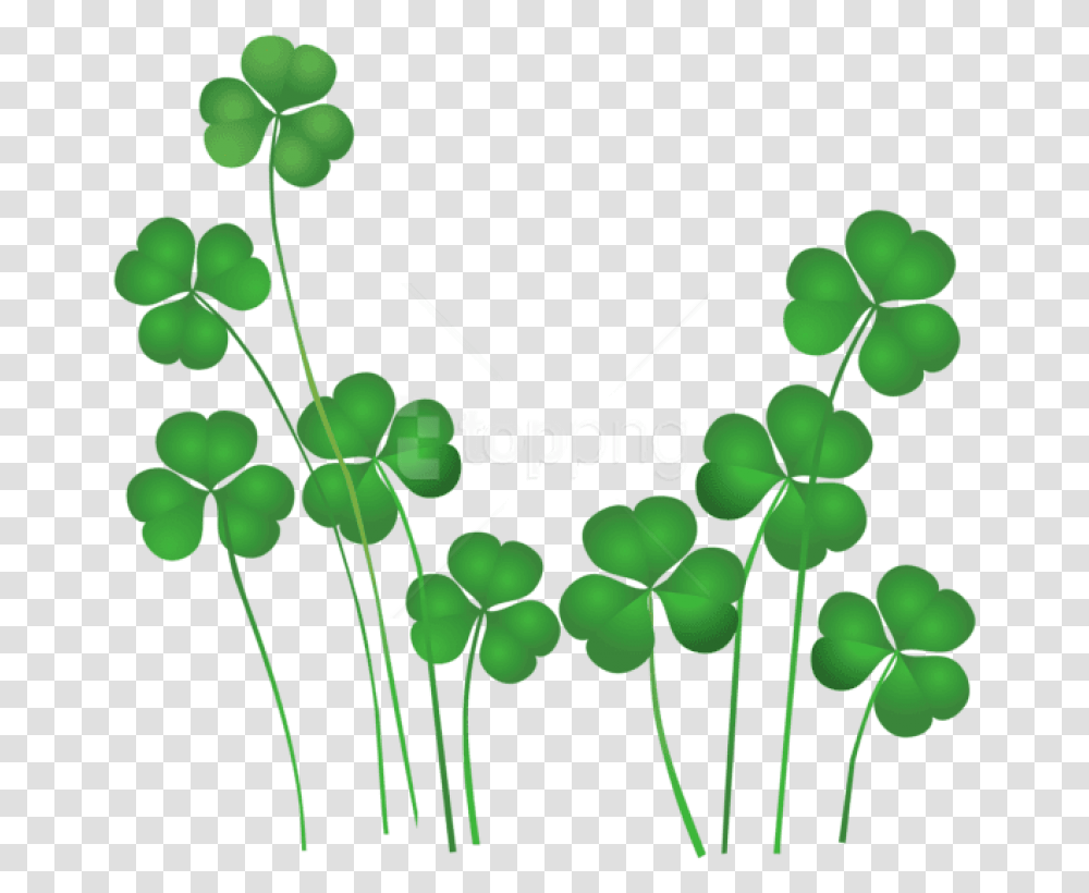 Saint Patrick's Day Shamrocks Free Clip Art, Plant, Green, Leaf, Vine Transparent Png