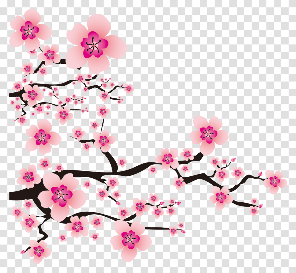 Sakura Background, Flower, Plant, Blossom, Cherry Blossom Transparent Png
