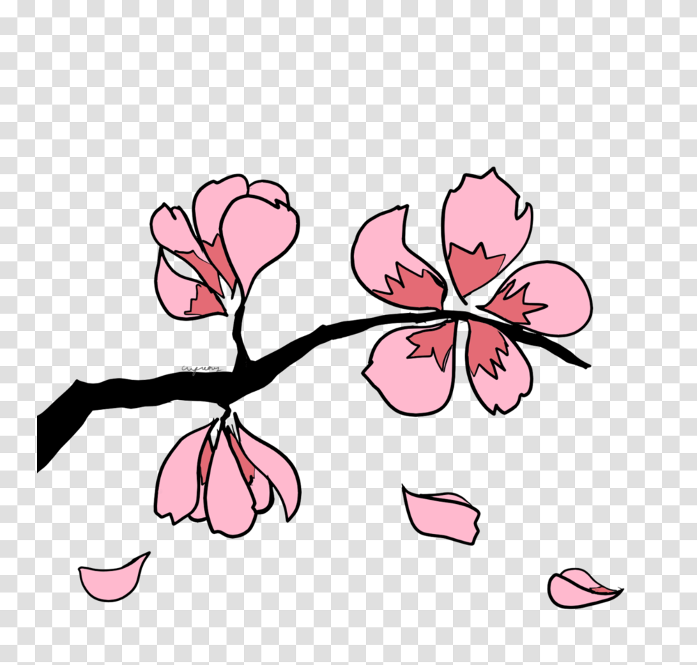 Sakura Blossom Clipart Leaves, Plant, Flower, Hibiscus, Cherry Blossom Transparent Png