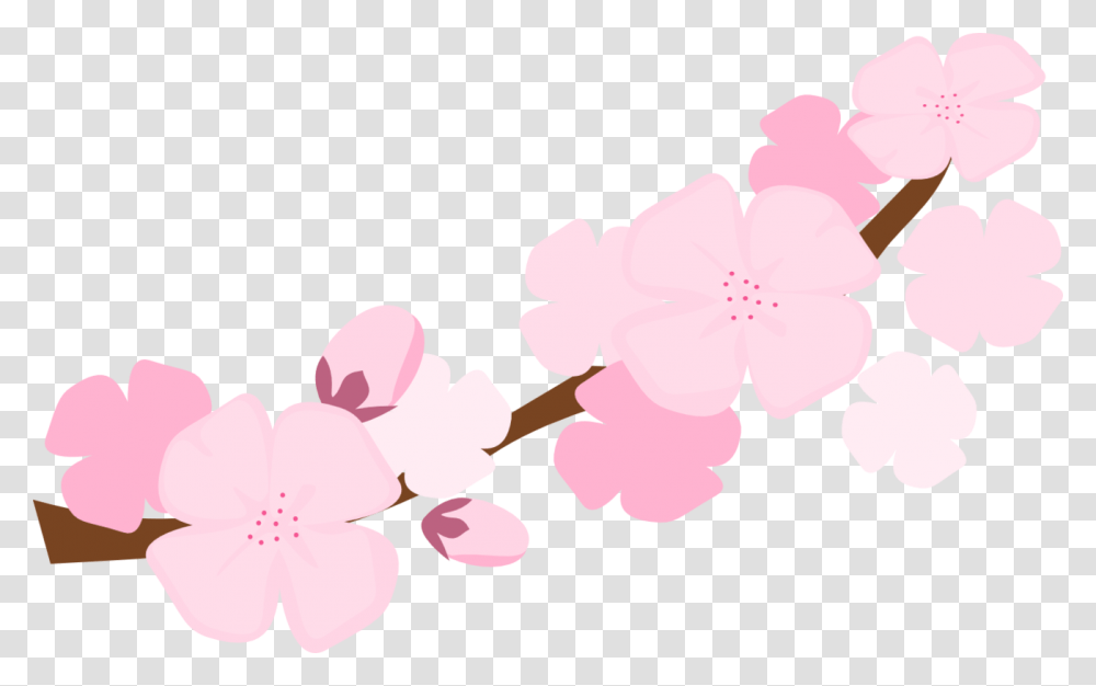 Sakura Blossom Clipart Symbol Cartoon Cherry Blossom, Plant, Flower, Petal Transparent Png