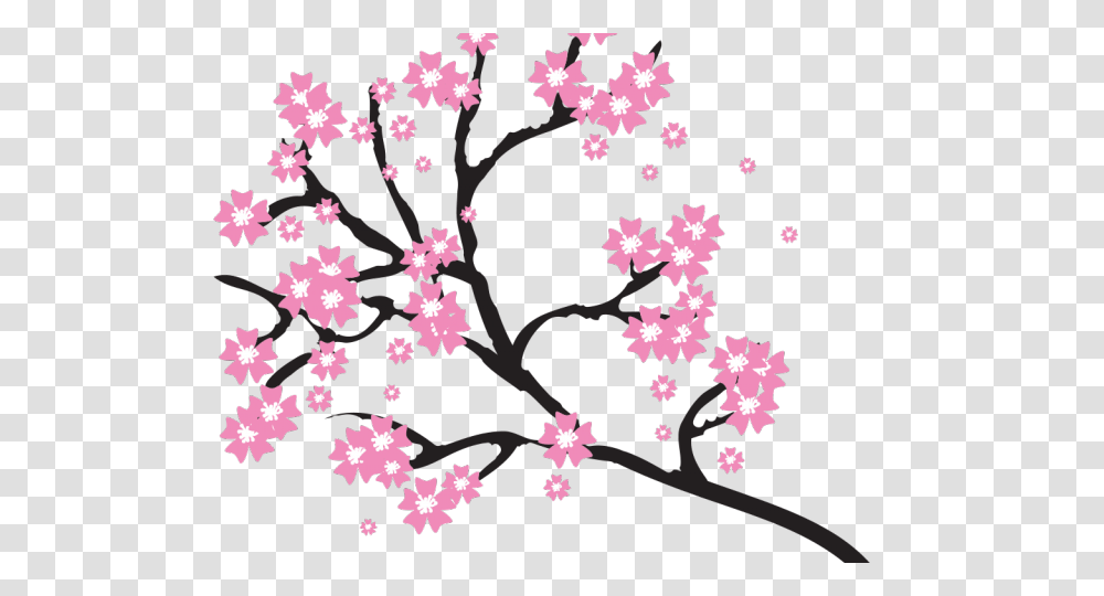 Sakura Blossom Clipart Wallpaper, Plant, Flower, Rug Transparent Png