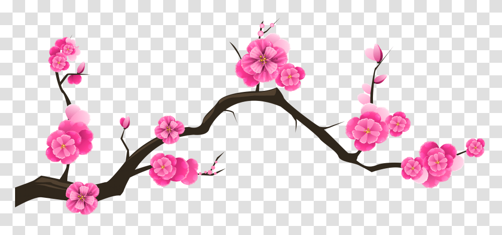 Sakura Branch Clip Art, Flower, Plant, Blossom Transparent Png