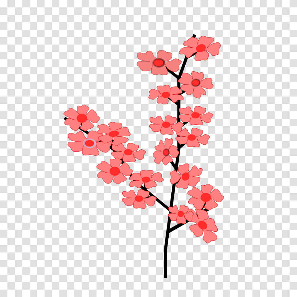 Sakura Cherry Blossom Clip Art, Petal, Flower, Plant, Carnation Transparent Png