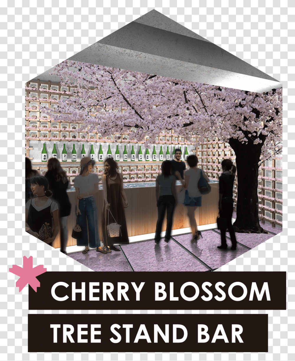 Sakura Chill Bar Cherry Blossoms & Out Afroco Photo Caption, Person, Furniture, Table, Reception Transparent Png