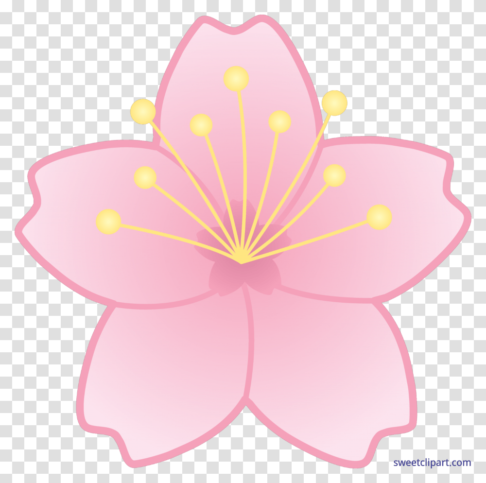 Sakura Clip Art, Plant, Anther, Flower, Blossom Transparent Png