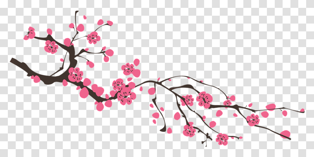 Sakura Download Wall Wallpaper Online Shopping, Plant, Cherry Blossom, Flower, Petal Transparent Png