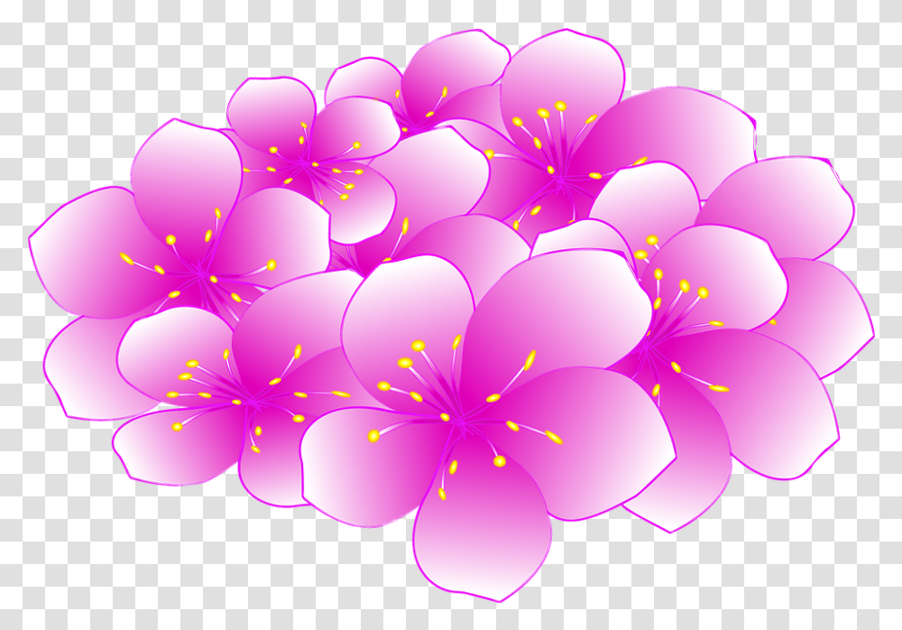 Sakura Flower Cherry Blossom, Plant, Petal, Dahlia, Purple Transparent Png