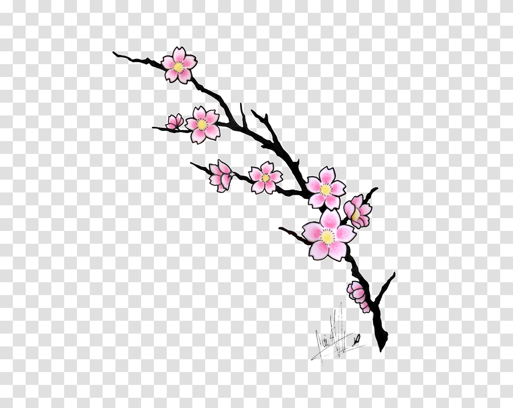 Sakura Flower Clip Art, Plant, Cherry Blossom Transparent Png