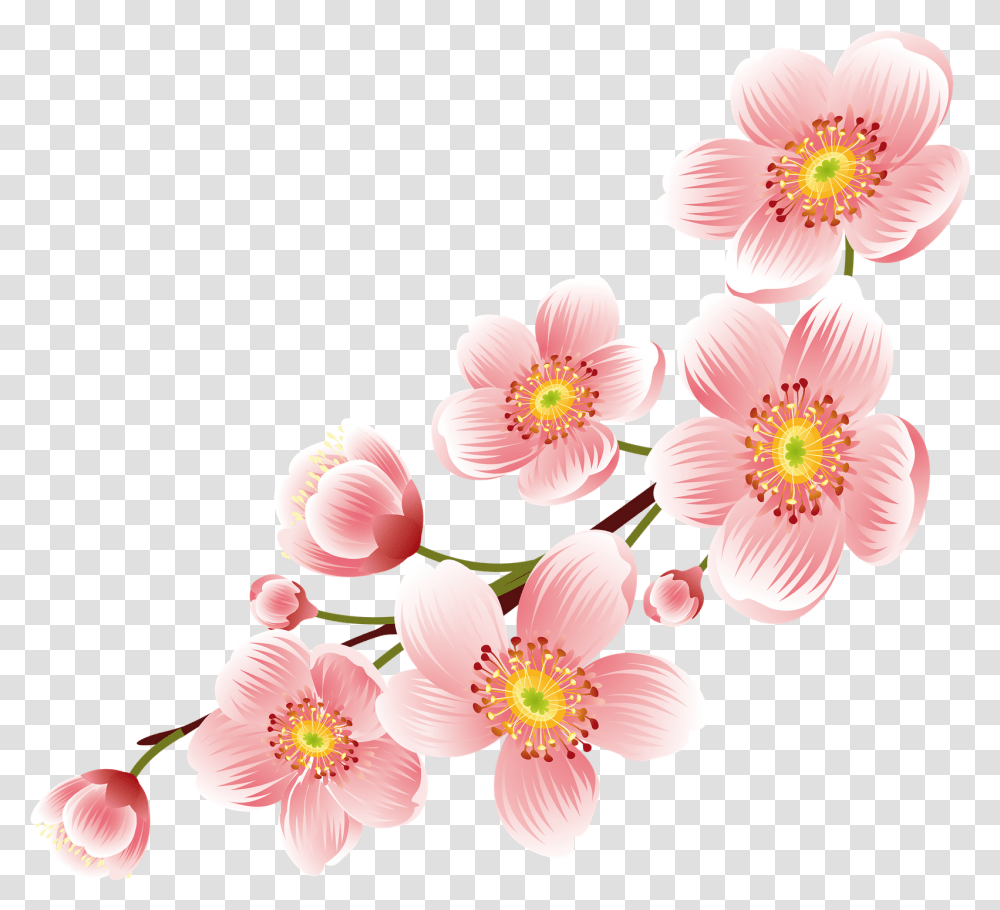 Sakura Flower Clipart Pictures Big Hd Background Pink Flower, Plant, Blossom, Cherry Blossom, Pollen Transparent Png