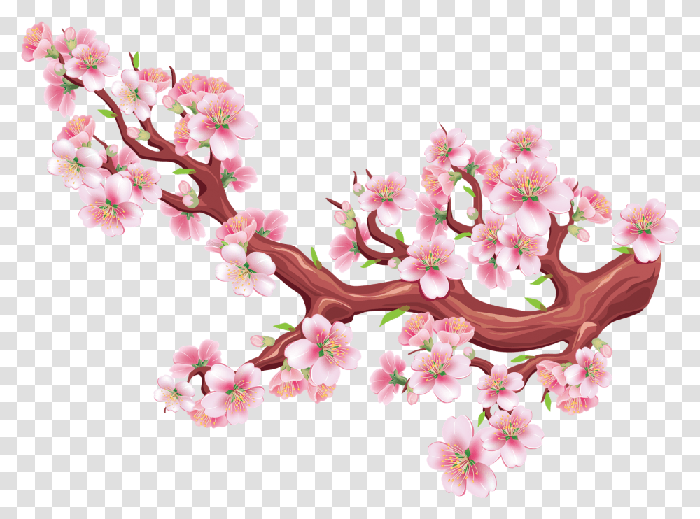 Sakura Free Download Drawn Cherry Blossom Tree, Plant, Flower, Pattern Transparent Png