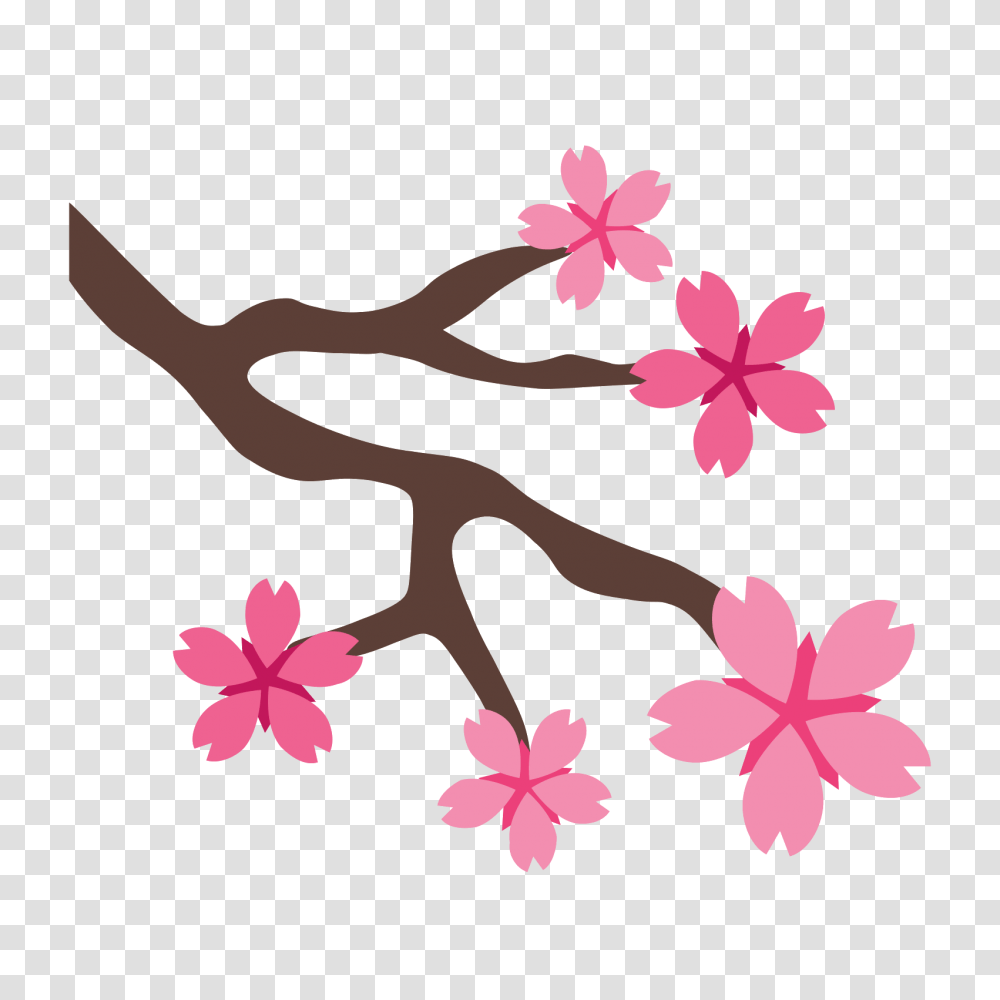 Sakura Icon, Plant, Flower, Blossom, Cherry Blossom Transparent Png