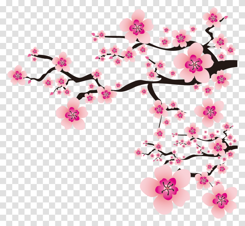 Sakura Images Free Download, Plant, Flower, Blossom, Cherry Blossom Transparent Png