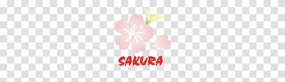 Sakura J Restaurant, Plant, Flower, Blossom, Poster Transparent Png