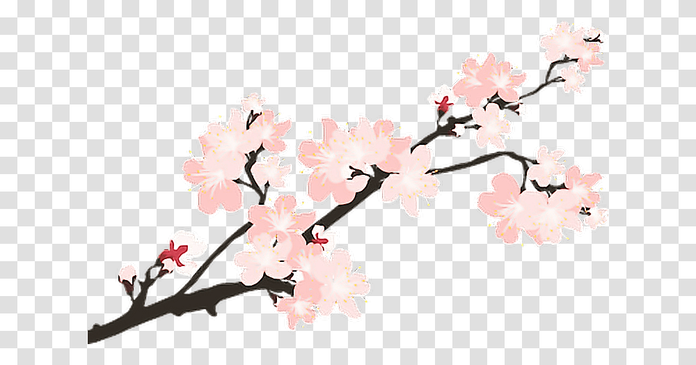 Sakura Japan Sticker Remixit Japanese Cherry Blossom, Plant, Flower Transparent Png