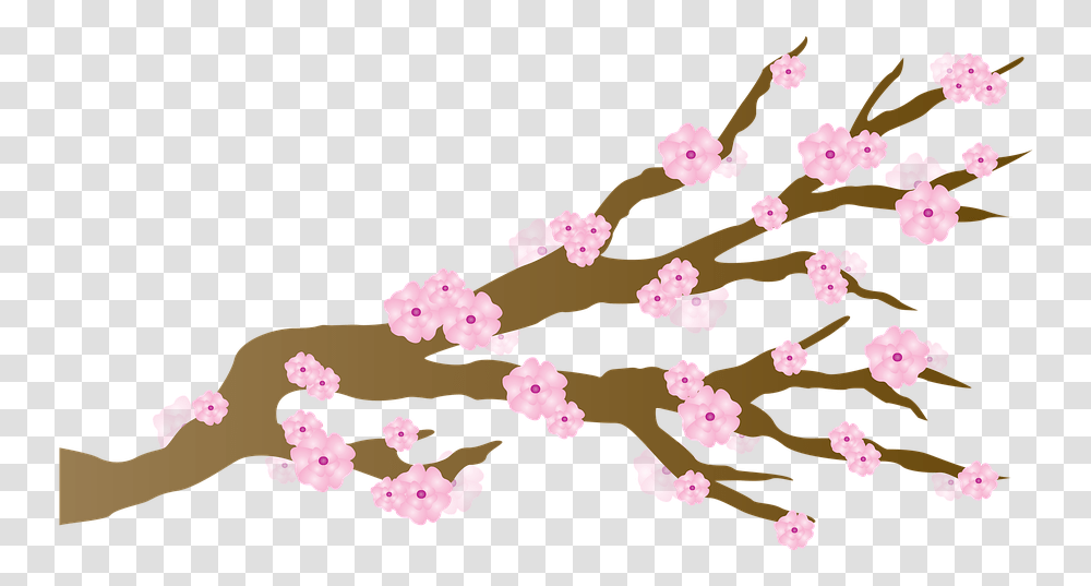 Sakura Japanese Cherry Blossom Tree Cartoon, Plant, Flower, Petal Transparent Png