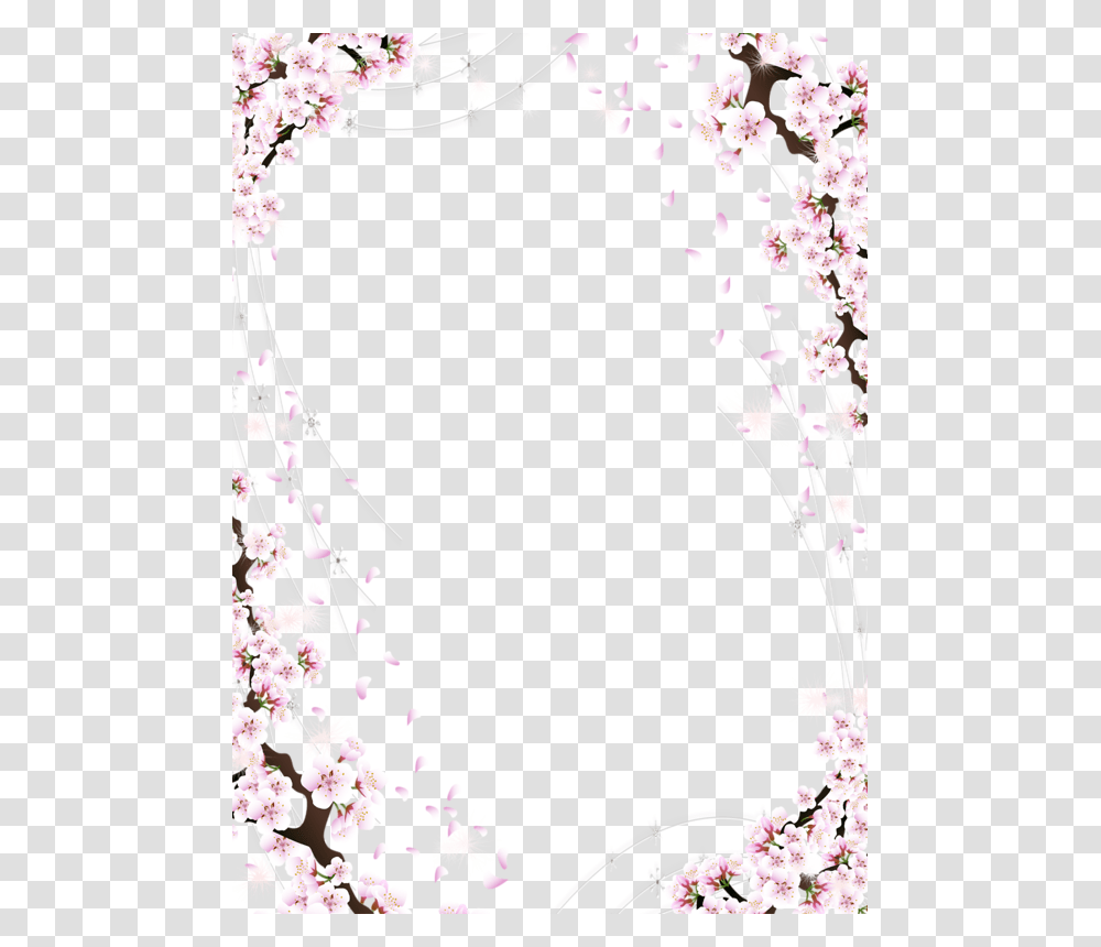 Sakura, Nature, Plant, Cherry Blossom, Flower Transparent Png