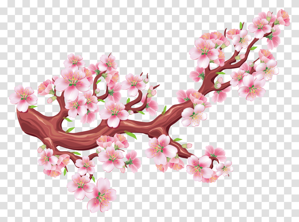 Sakura, Nature Transparent Png