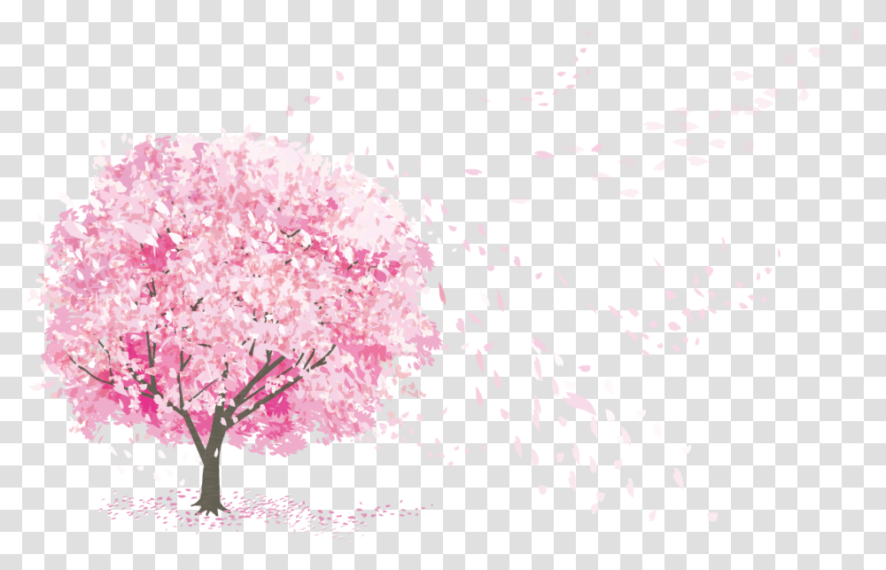 Sakura Pink Deco Japan Flowers Tree Spring Splash, Plant, Blossom, Petal, Cherry Blossom Transparent Png