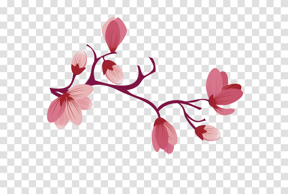 Sakura Pink Flowers Free Background, Plant, Blossom, Petal, Orchid Transparent Png