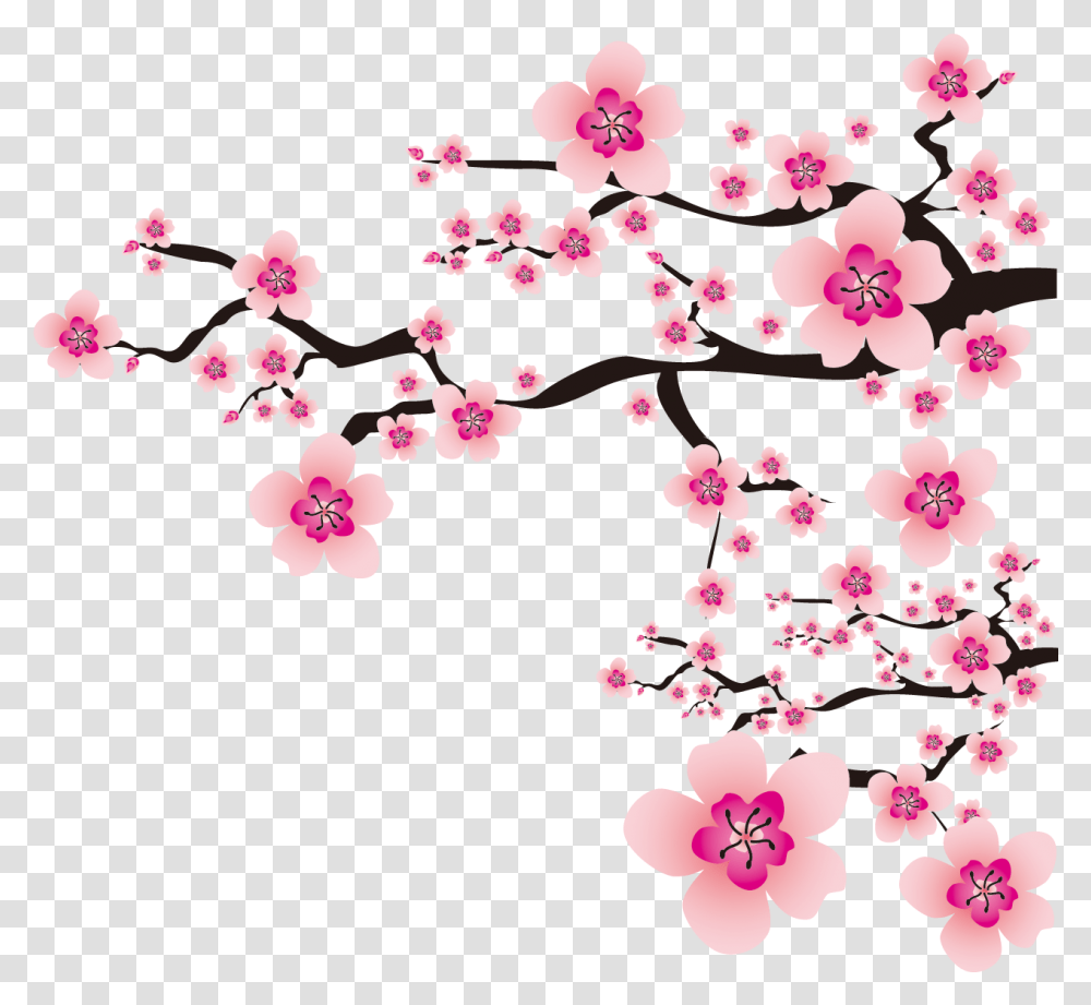 Sakura Sakura, Plant, Flower, Blossom, Cherry Blossom Transparent Png