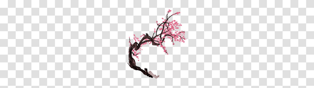 Sakura Tree, Plant, Flower, Blossom, Cherry Blossom Transparent Png