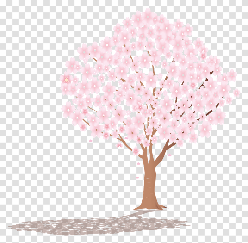 Sakura Tree Shadow Cherry Free Vector Graphic On Pixabay Cherry Blossom, Plant, Flower, Fungus, Petal Transparent Png