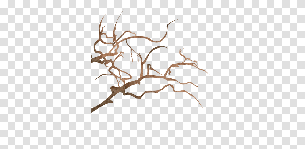 Sakura Tree Without Flowers And Leaves, Wood, Antler, Rug, Driftwood Transparent Png