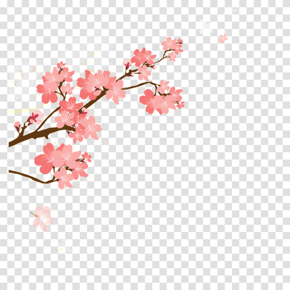 Sakura Vector Free Download On Heypik, Plant, Flower, Blossom, Cherry Blossom Transparent Png