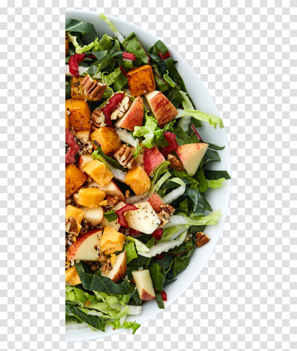 Salad Bar Salads, Plant, Food, Produce, Meal Transparent Png