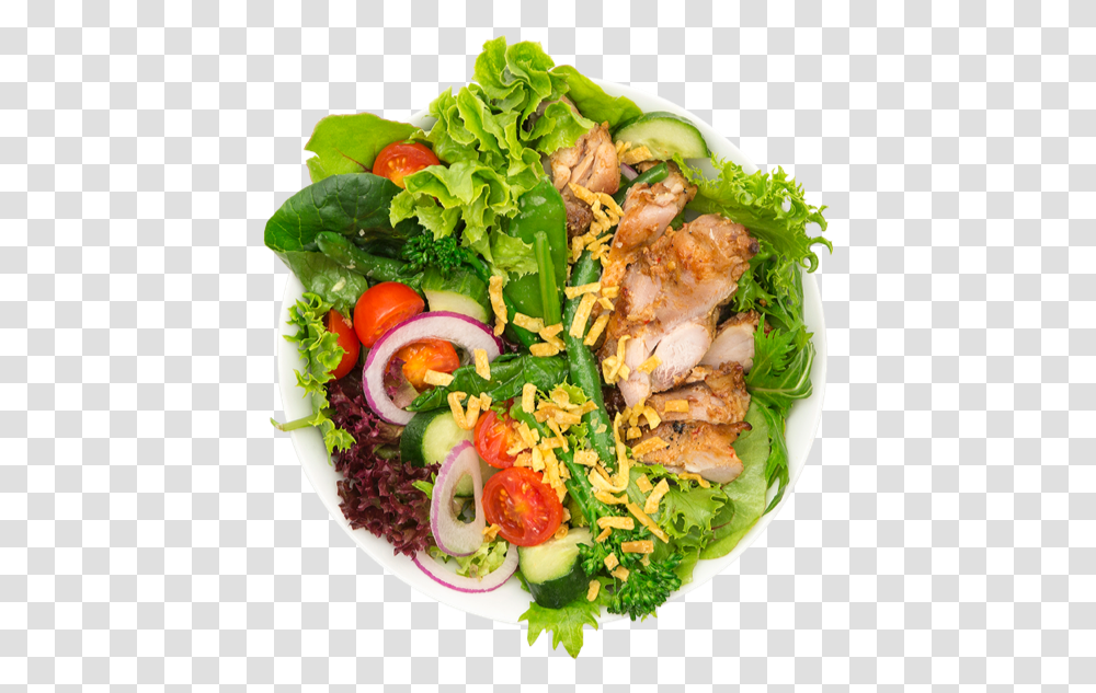 Salad Bowl, Dish, Meal, Food, Plant Transparent Png