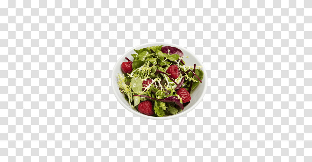 Salad Bowl Weber 14cm Bowl, Plant, Food, Produce, Lunch Transparent Png