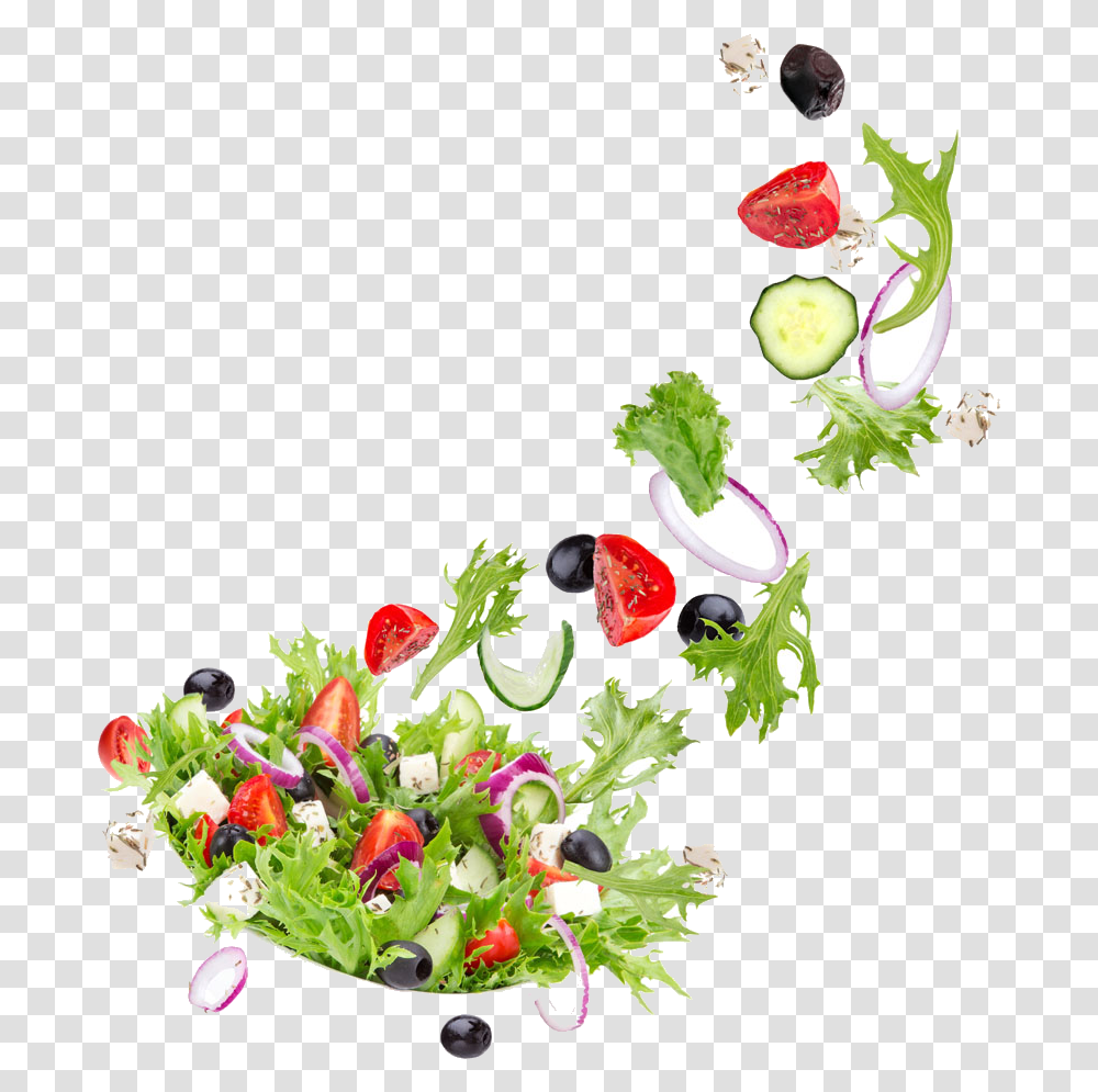 Salad Clip Art, Plant, Flower, Floral Design Transparent Png