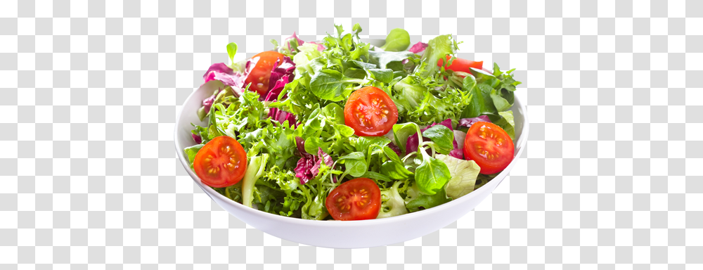 Salad Free Images Green Salad Images, Plant, Food, Meal, Dish Transparent Png